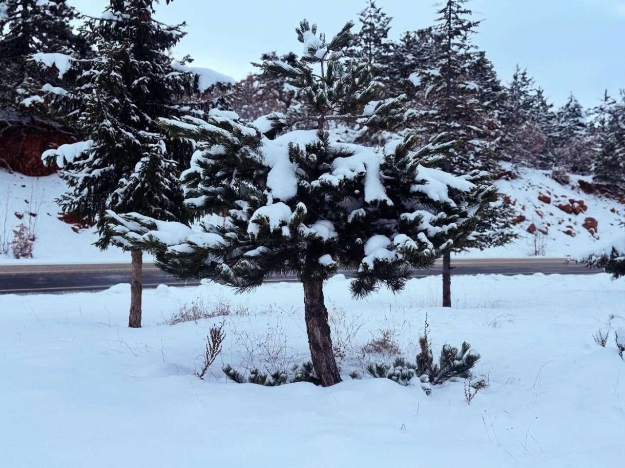 Konya’yı beyaza bürüyen kar gitti, geride bu manzaralar kaldı 3